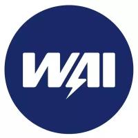 WAI 38-9100 Щетка генератора угольная