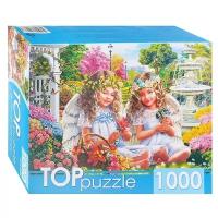 Пазлы Рыжий кот 1000 деталей, TOP puzzle "Два нежных ангелочка" (ХТП1000-2176)