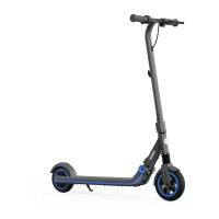 Детский электросамокат Ninebot Kickscooter Zing E10 2021