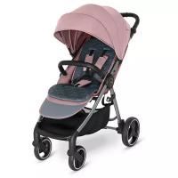 Коляска прогулочная Baby Design Wave 2021 108 pink