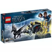 Конструктор LEGO Harry Potter 75951 Побег Грин-де-Вальда, 132 дет