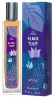 Женская туалетная вода Brocard Day Dreams Black Tulip /Черный тюльпан, 55 мл