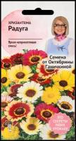 Хризантема Радуга 0,5 г, семена для выращивания однолетних цветов для сада дачи и дома, однолетние цветы для балкона и горшков