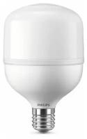 Светодиодная лампа TForce Core HB 2700lm 20W E27 865 - PHILIPS