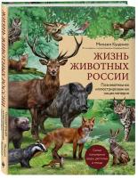 Жизнь животных России. Познавательная иллюстрированная энциклопедия