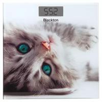 Весы электронные Blackton Bt BS1012 Kitten