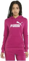 Худи PUMA Essentials Big Logo