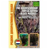 Семена Риса декоративного (Oryza sativa) (Black Madres) 0,1 г