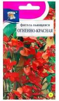 Семена цветов Фасоль Вьющаяся Огненно-красная 5 г