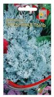 Семена цветов Цинерария "Серебряная пыль" Дом семян, О, 130 шт .3 уп