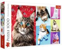 Trefl Пазлы для взрослых и детей 1000 элементов "Радостные котики"