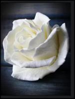 Силиконовая форма для творчества, Роза 3D, Шикарная роза, цветок 3D