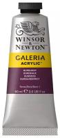 Краска акриловая художественная Winsor&Newton "Galeria", 60мл, туба, бордовый