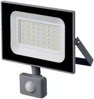 STAYER LED-Max 50 Вт прожектор светодиодный c датчиком движения