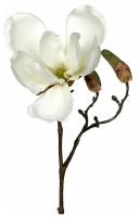 Цветок магнолии, белый, 25 см, Edelman