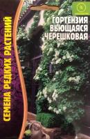 Семена Гортензии вьющейся черешковой (20 семян)