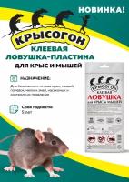 Крысогон Клеевая ловушка-пластина для мышей и крыс