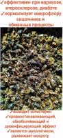 Пчелиный подмор 50 гр, сушёный/природный иммуномодулятор