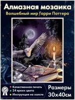 Алмазная мозаика Fantasy Earth Букля / Гарри Поттер