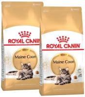 Сухой корм ROYAL CANIN MAINE COON ADULT для взрослых кошек мэйн кун (2 + 2 кг)