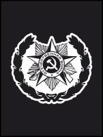Наклейка на авто "Орден великой отечественной войны" 17х14см