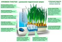 Домашняя установка Луковое Счастье original лоток для выращивания зелёного лука