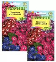 Цветы Цинерария Симпатия, смесь 2 пакета по 8шт семян