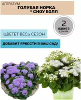 Цветы Агератум Голубая норка и Агератум Сноу Болл 2 пакета по 0,1г семян