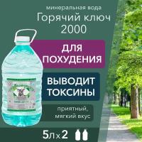 Вода минеральная Горячий Ключ 2000 газированная