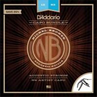 Струны для гитары D'Addario NB1253-CP10