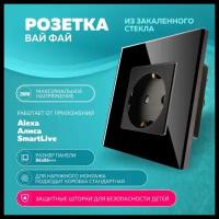 Розетка из закаленного стекла Wi-Fi Bingoelec чёрная, умный дом, розетка, Wifi, Модель: W1-034