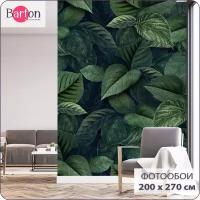 Фотообои на стену флизелиновые 3d Растения Листья 200х270 см Barton Wallpapers M174