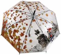 Зонт прозрачный с принтом