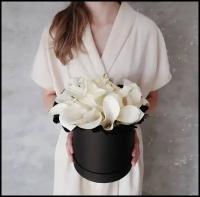 Калла белая Luxure Flowers For You 19 в черной коробке