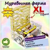 Вертикальная муравьиная ферма XL14х17 Yellow