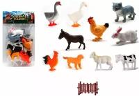 Игровой набор Фигурки домашние животные И птицы 10 штук Q902 в пакете Tongde