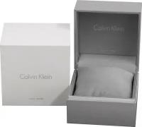 Наручные часы CALVIN KLEIN K8Q311.C1