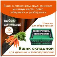 Ящик складной пластиковый для хранения (для овощей, фруктов, рассады), объемом 10л (340*230*160мм)