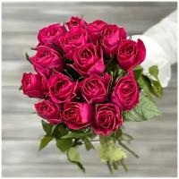 Букет живых цветов из 15 малиновых роз с лентой 40см