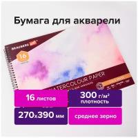 Альбом для акварели BRAUBERG Art Premiere, 270 х 390 мм, 300 г/м, 16 л с рисунком 1 39 см 27 см 300 г/м²