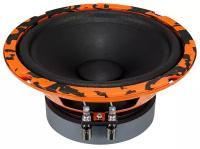 DL Audio Gryphon Pro 165 Midbass