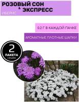 Цветы Иберис Розовый сон и Иберис Экспресс 2 пакета по 0,2г семян