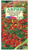 Семена Виноград девичий Партеноциссус триостренный Нептун 5 шт