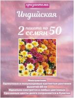 Цветы Хризантема индийская Индикум смесь 2 пакета по 50шт семян