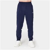 Брюки Nike M Dri-Fit Academy Pants XS для мужчин