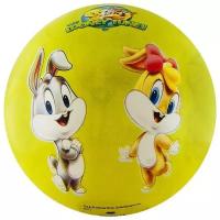 PALMON Мяч детский Looney Tunes арт. WB-LT-001 23 см, салатовый ()