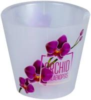 Горшок InGreen London Orchid Deco