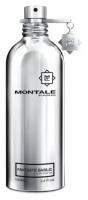 Montale Fantastic Basilic парфюмерная вода 100 мл унисекс