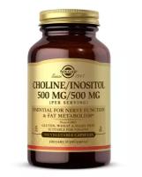 Solgar Choline/Inositol 500 mg/500 mg 100 Vegetable Capsules