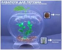 Аквариум для петушка AquaSyncro FA-18 fancy apple, акрил, 1,8L, (грунт, растение)